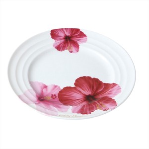 Mino ware Main Plate Gift Porcelain