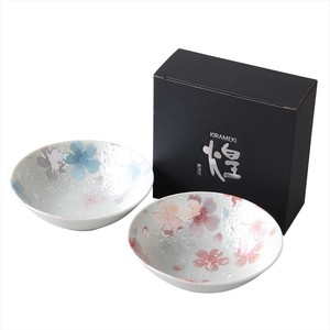 Mino ware Main Dish Bowl Gift Porcelain