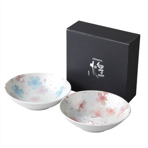 Mino ware Main Dish Bowl Gift Porcelain