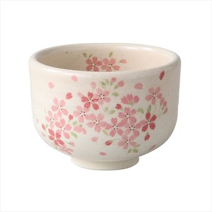 Mino ware Japanese Teacup Gift Pottery Cardboard Box