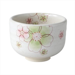 Mino ware Japanese Teacup Gift Pottery Cardboard Box Green