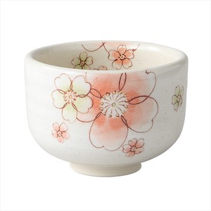 Mino ware Japanese Teacup Gift Pottery Cardboard Box Orange