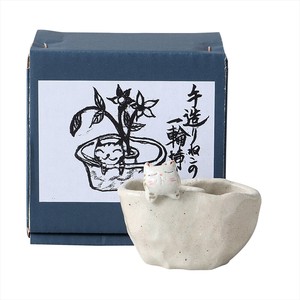 Mino ware Flower Vase Gift Pottery Cardboard Box Tiger