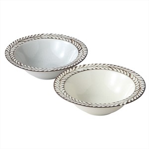 Mino ware Donburi Bowl Gift Porcelain Rosemary Cardboard Box