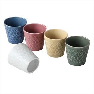 Mino ware Cup/Tumbler Gift Porcelain Cardboard Box Set of 5