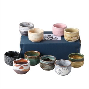 Mino ware Barware Selected Japanese Teacups Gift Pottery Cardboard Box Set of 10