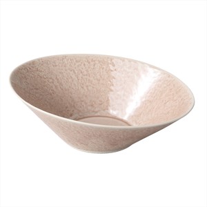Seto ware Donburi Bowl Gift Porcelain