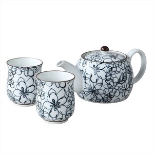 Teapot Garden Gift Porcelain Arita ware