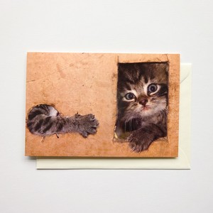 グリーティングカード 封筒付き 輸入カード ネコ cat ドイツ製