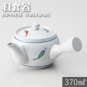 Japanese Teapot with Tea Strainer Porcelain Tea Pot