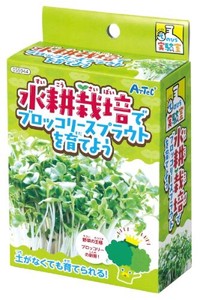 日本製 made in japan 水耕栽培でブロッコリースプラウトを育てよう 55944