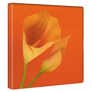 【アートデリ】花のアートパネル インテリア雑貨 オレンジ  poht-2205-01 30cm×30cm Mサイズ