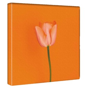【アートデリ】花のアートパネル インテリア雑貨 オレンジ  poht-2205-05 30cm×30cm Mサイズ