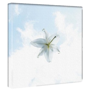 【アートデリ】花のファブリックボード インテリア雑貨 ホワイト  poht-2205-12 30cm×30cm Mサイズ