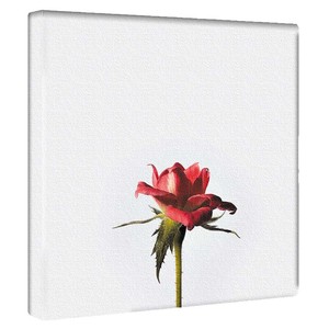 【アートデリ】花のファブリックボード インテリア雑貨 ホワイト  poht-2205-14 30cm×30cm Mサイズ