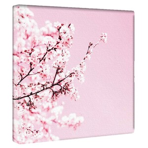 【アートデリ】花のファブリックボード インテリア雑貨 ピンク 桜 poht-2205-16 30cm×30cm Mサイズ