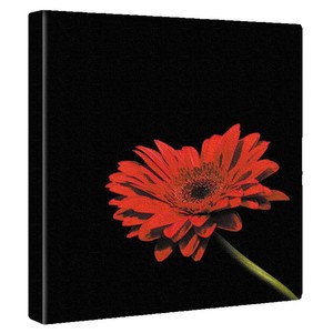 【アートデリ】花のアートパネル インテリア雑貨 ブラック  poht-2205-17 30cm×30cm Mサイズ