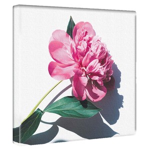 【アートデリ】花のアートパネル インテリア雑貨 ピンク  poht-2205-21 30cm×30cm Mサイズ