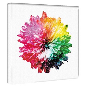 【アートデリ】花のアートパネル インテリア雑貨 カラフル  poht-2205-25 30cm×30cm Mサイズ