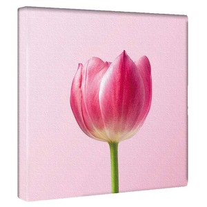 【アートデリ】花のファブリックボード インテリア雑貨 ピンク  poht-2205-30