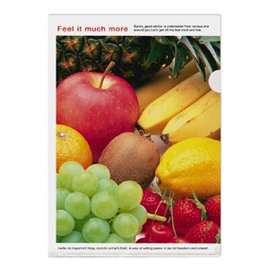 Store Supplies File/Notebook Single Fruits Made in Japan