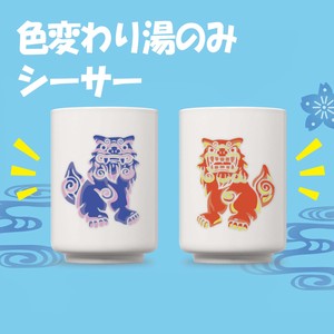 Japanese Teacup Gift Japan