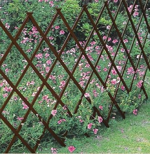 Garden Fence/Arch Brown