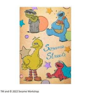 【旅行グッズ/トラベル】【和雑貨】セサミストリート 御朱印帳 Sesame Street ST-TSS0002