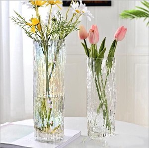 創造的なガラス 花瓶 リビングルームの装飾  BQ101