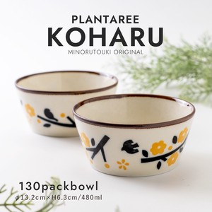 Mino ware Main Dish Bowl Plant Pottery Made in Japan