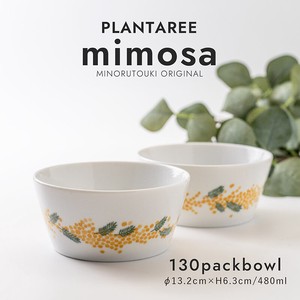 Mino ware Main Dish Bowl Plant Pottery Mimosa Made in Japan