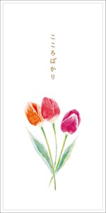 Envelope Tulip