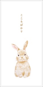 Envelope Rabbit