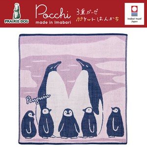 ■母の日特集■　Pocchi　3重ガーゼハンカチ　Penguin