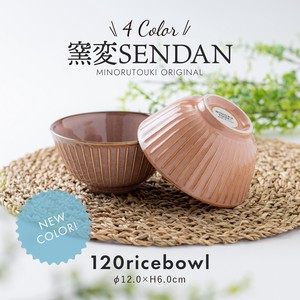 【 窯変SENDAN 】120ライスボウル  [日本製 美濃焼 陶器 茶碗] オリジナル