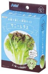 日本製 made in japan お家で楽しく栽培キット サニーレタス 102933