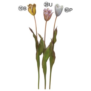 【asca】【アスカ商会】チューリップ  3色　造花