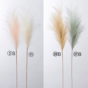 【asca】【アスカ商会】パンパス 4色　造花