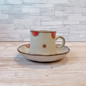 Mino ware Cup & Saucer Set Red Cafe Saucer Pottery Made in Japan