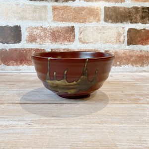 Mino ware Main Dish Bowl Red Japanese Style Ramen Udon Pottery M Made in Japan