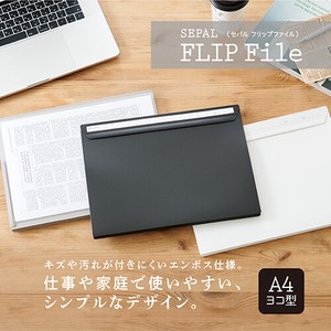 File SEKISEI Folder Clear