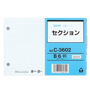 情報カード　B6　セクション　2穴　日本製