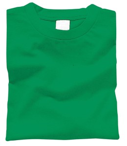 カラーTシャツ　M　025　グリーン