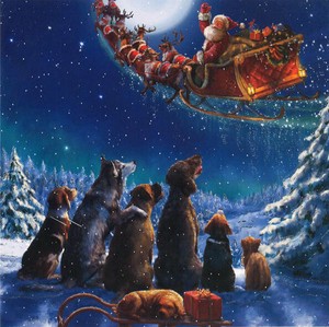 グリーティングカード クリスマス「サンタを見送る犬猫」
