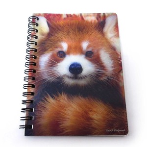 Notebook Red Panda