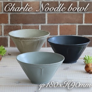 Mino ware Main Dish Bowl CHARLEY Donburi Pottery Ramen Bowl L size M Made in Japan