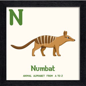 置き掛け兼用 アートパネル Animal Alphabet Numbat