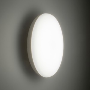 LED浴室灯 要電気工事 100形相当 昼白色