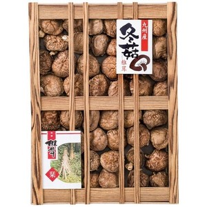 九州産原木どんこ椎茸 SPD-100S