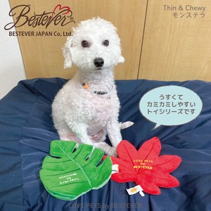 葉っぱ ペットトイ| LOVE PETS by BESTEVER | Thin & Chewy